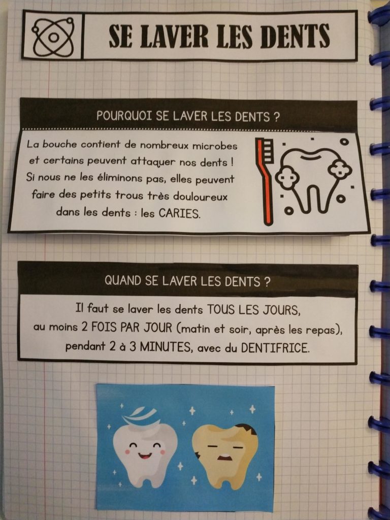 CP QLM Sciences Leçons à manipuler La santé Les microbes