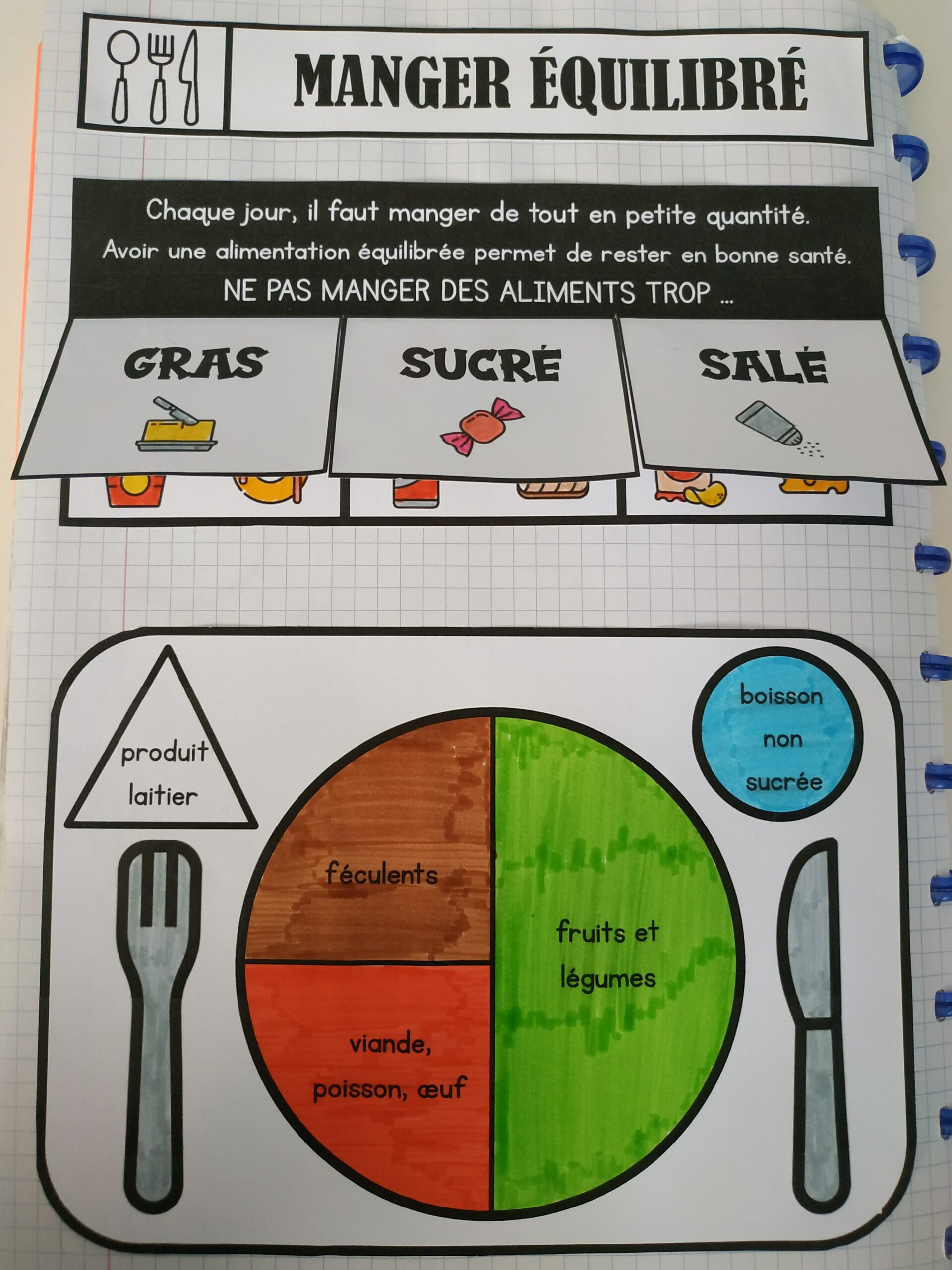 CE1 QLM Sciences Leçons à manipuler L alimentation