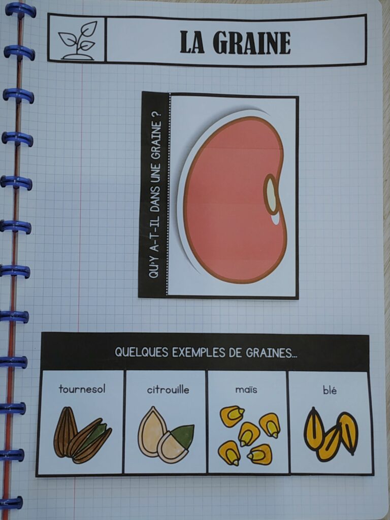 CE1 • QLM Sciences • Leçons à manipuler 